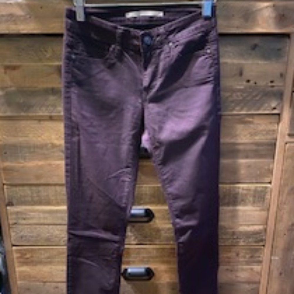 Vince Pants